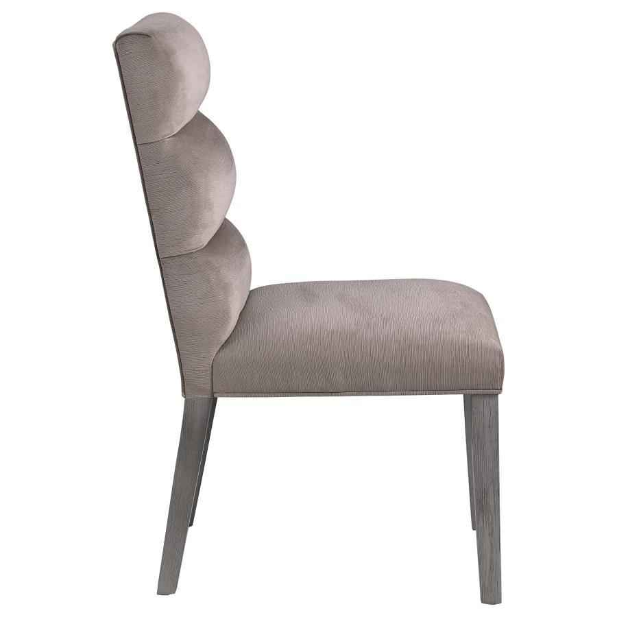 Carla Velvet Upholstered Dining Side Chair Ash (Set of 2) view 9