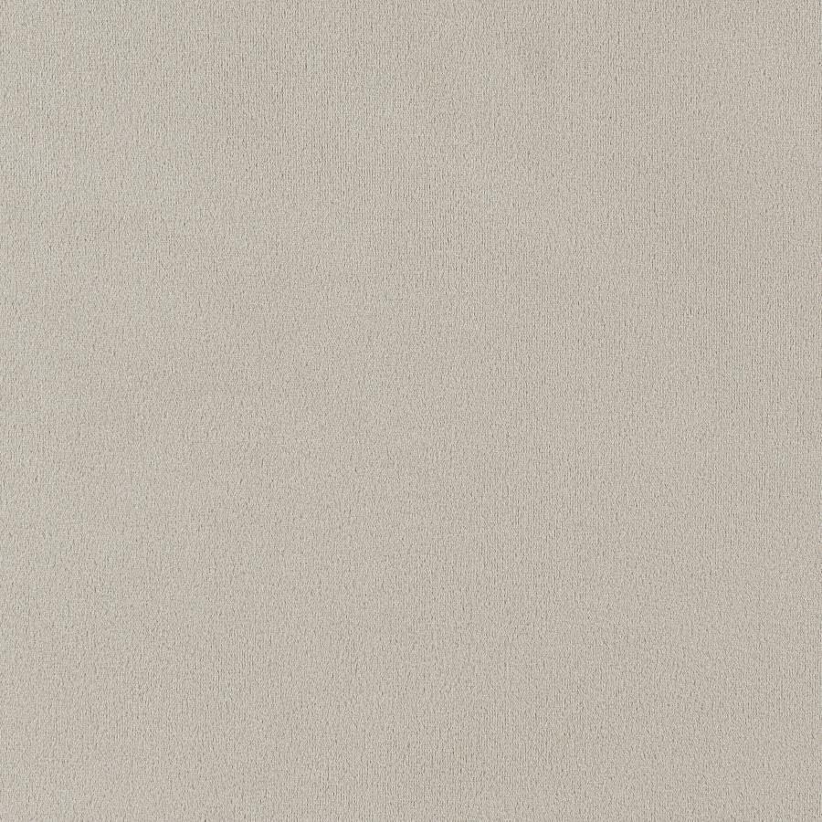 Alana Velvet Upholstered Dining Side Chair Sand (Set of 2) view 10