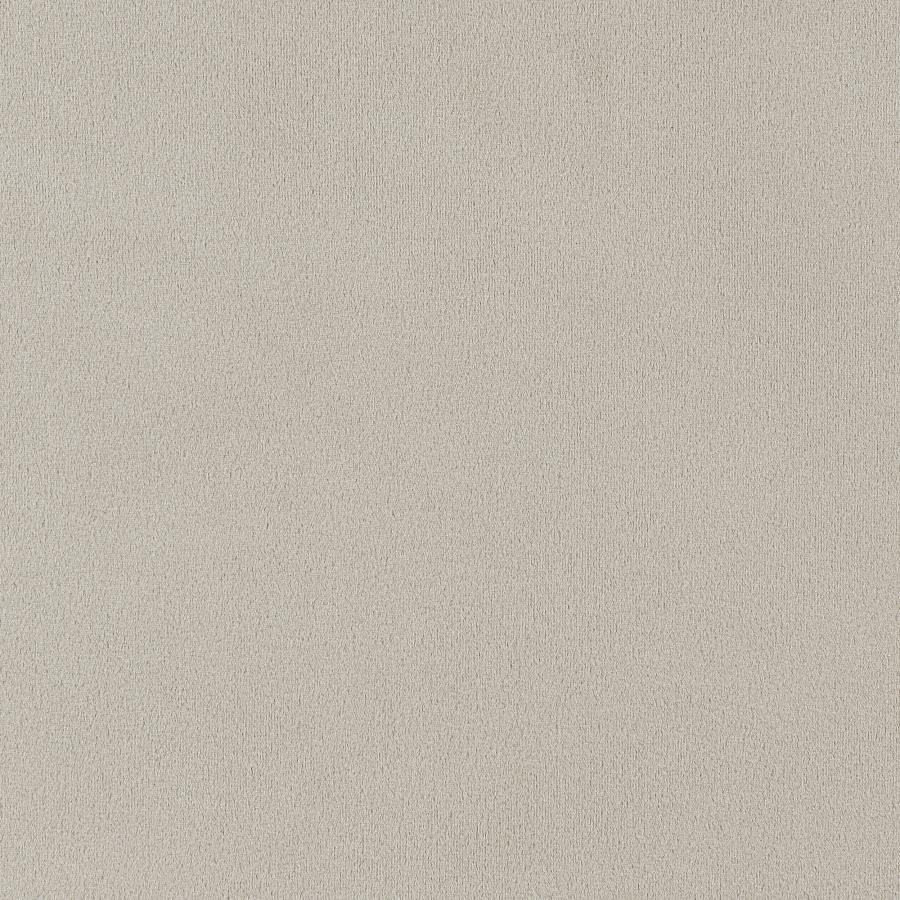 Alana Velvet Upholstered Dining Arm Chair Sand view 9