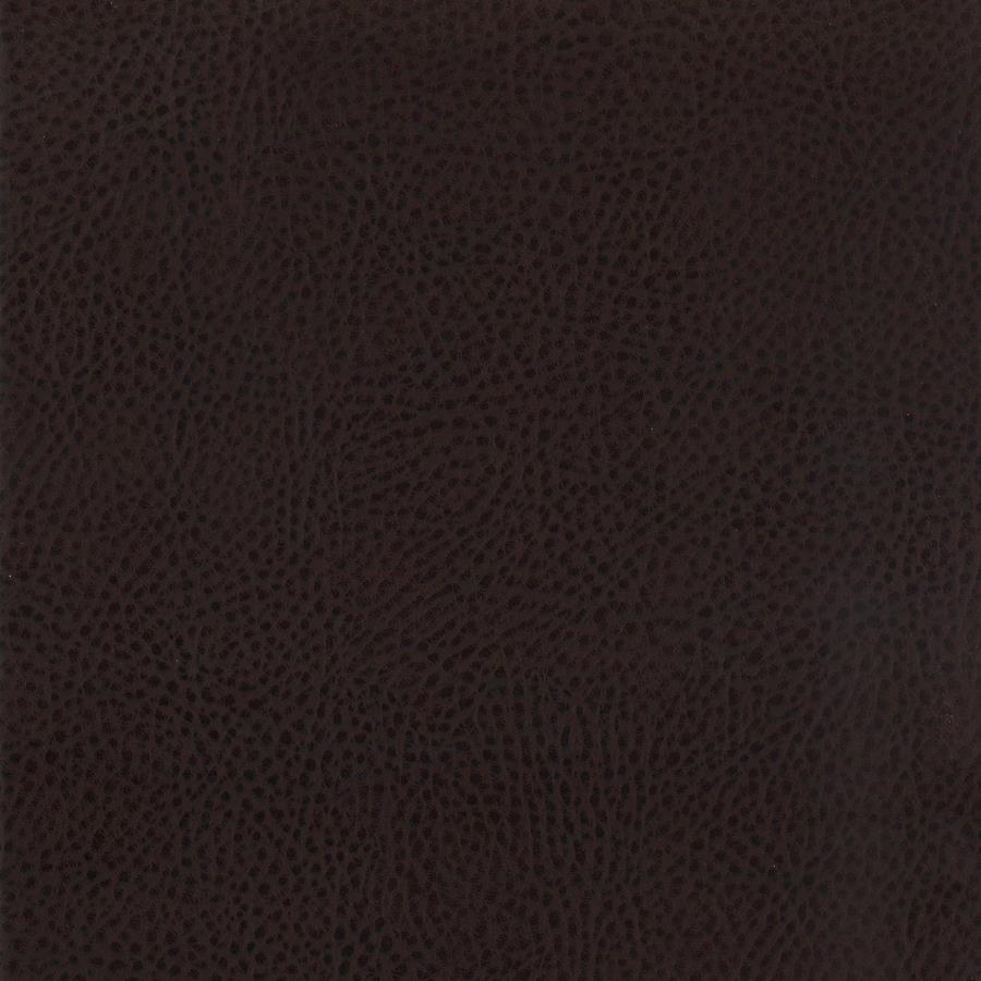 Dewey Upholstered Counter Chair Walnut (Set of 2) view 10