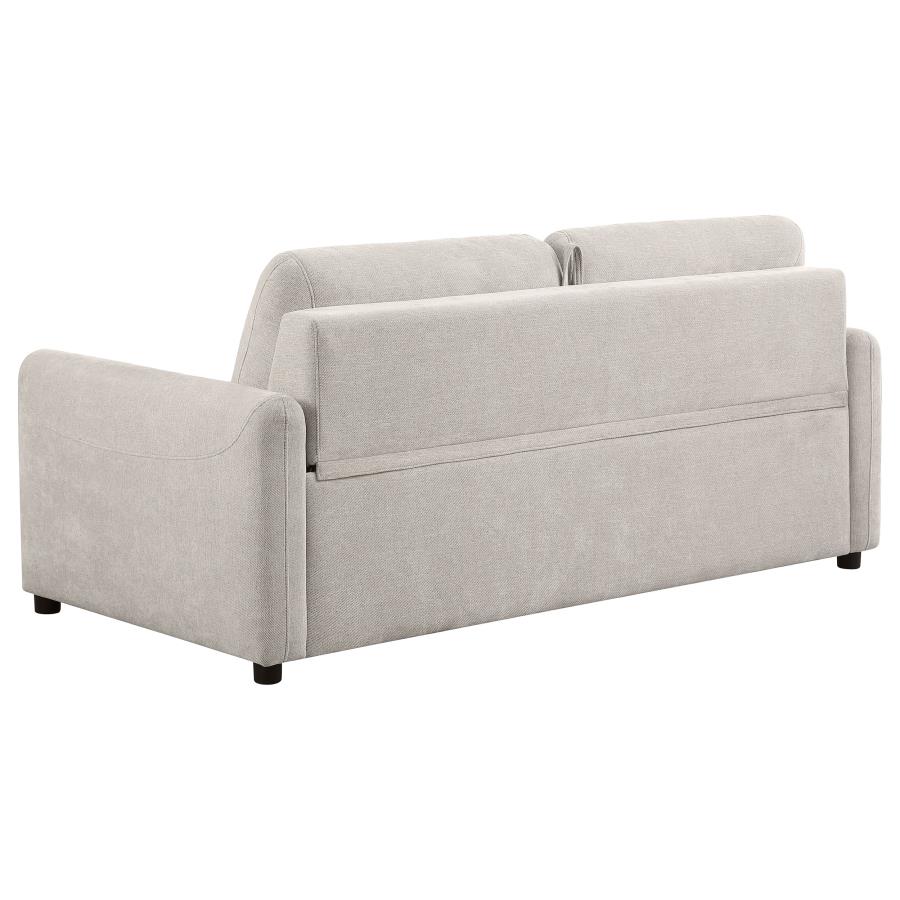 Rylie Upholstered Sofa Sleeper with Queen Mattress Beige view 8