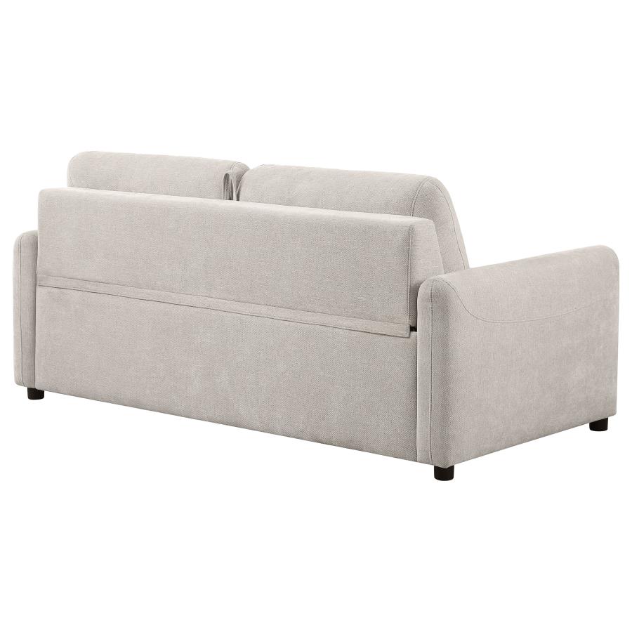 Rylie Upholstered Sofa Sleeper with Queen Mattress Beige view 9