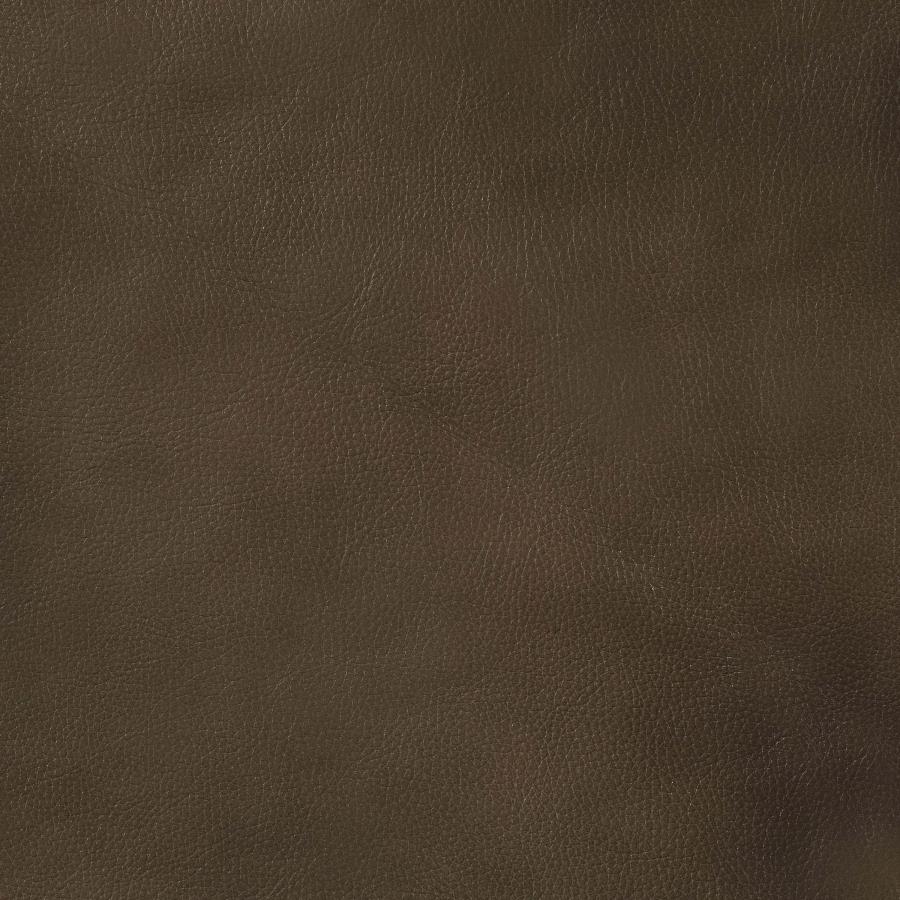 Leaton Upholstered Recessed Arm Sofa Brown Sugar view 9