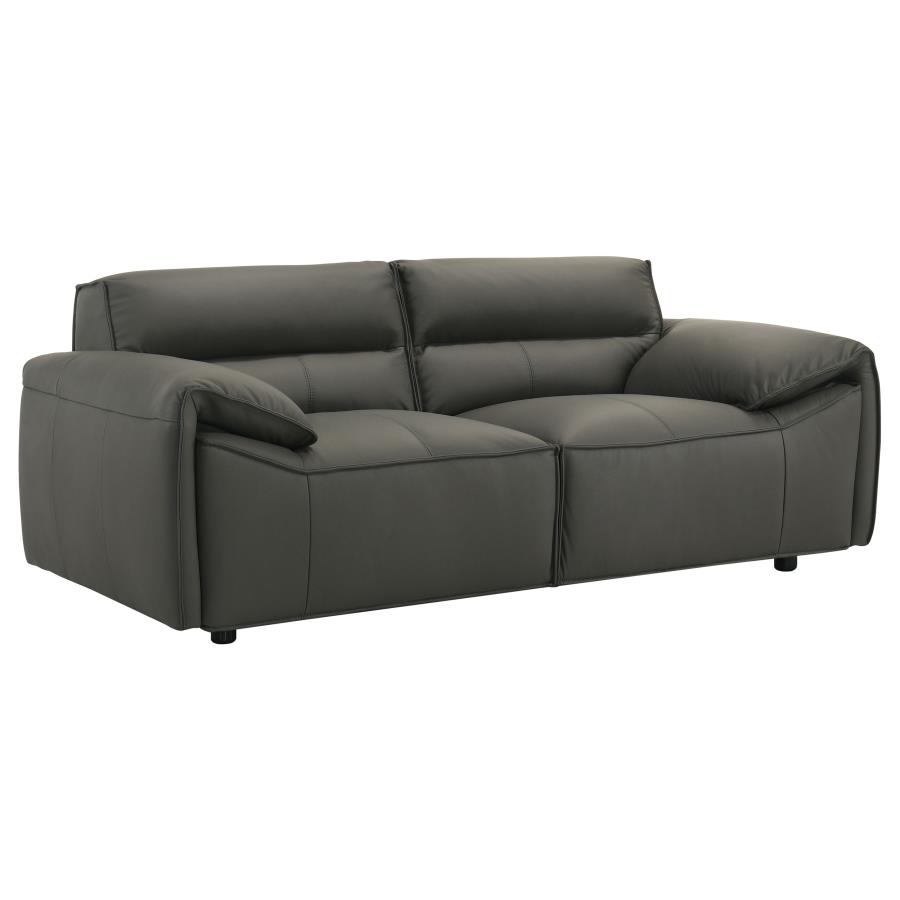 Buxton 2-piece Leather Upholstered Sofa Set Graphite view 8