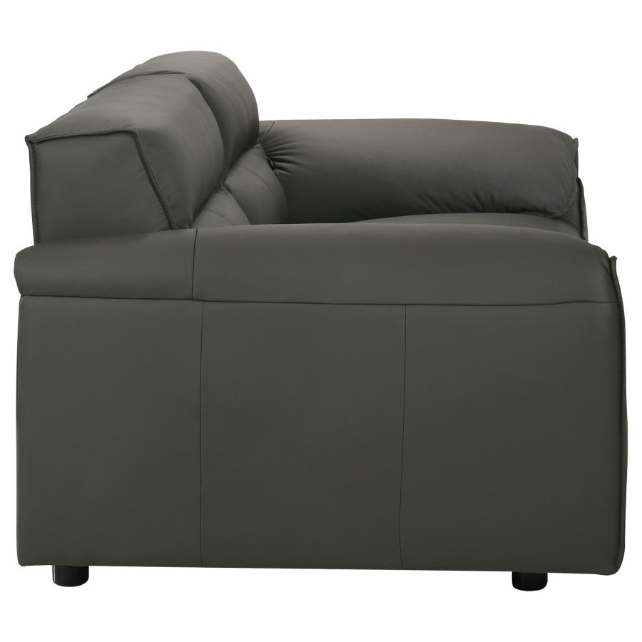 Buxton 2-piece Leather Upholstered Sofa Set Graphite view 11