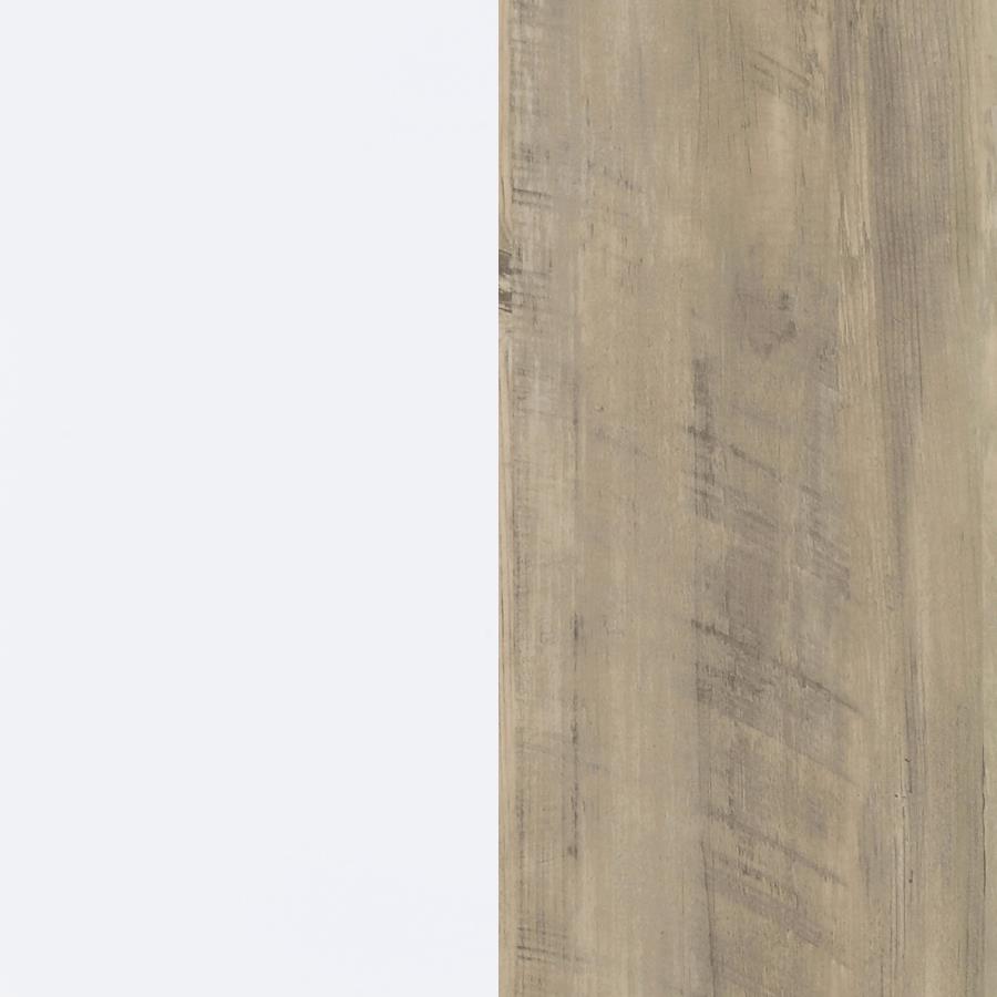 Dalton 2-door Storage Cabinet White and Distressed Pine view 12