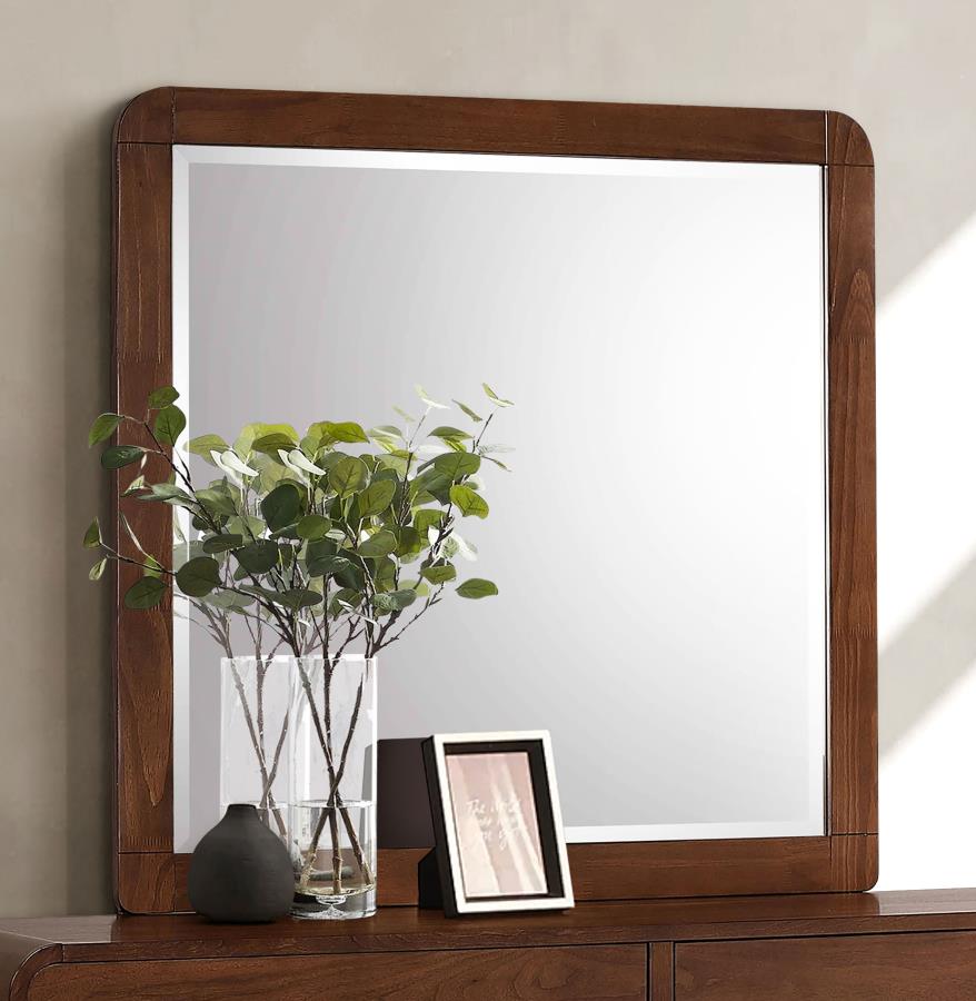 Robyn Dresser Mirror Dark Walnut view 2