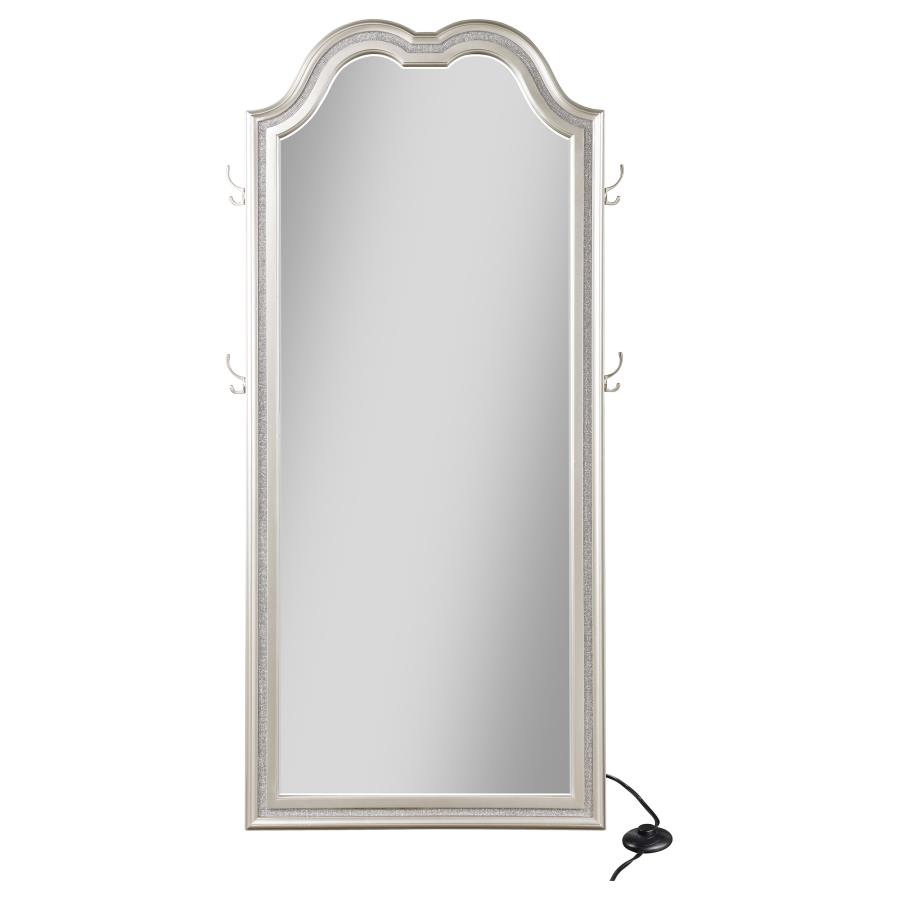 Evangeline Full Length LED Light Floor Mirror Silver Oak view 4