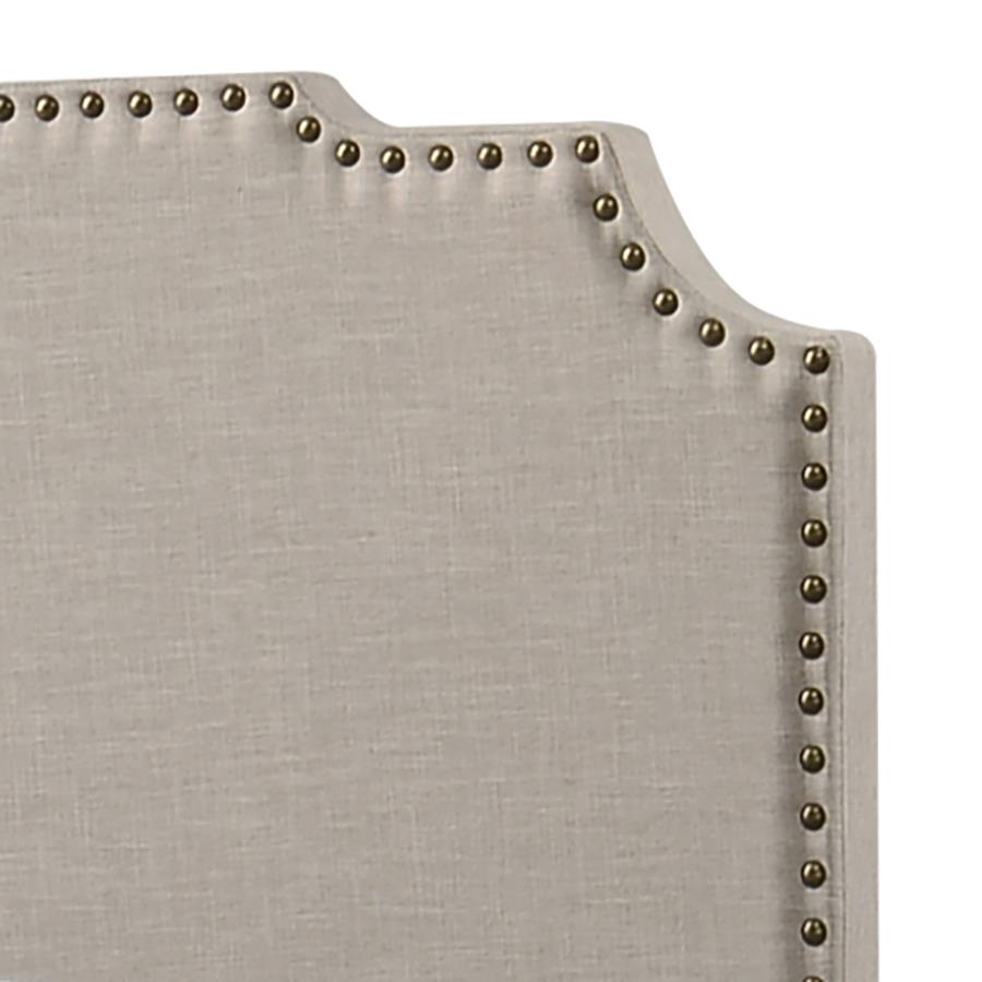 Tamarac Upholstered Queen Panel Bed Beige view 5