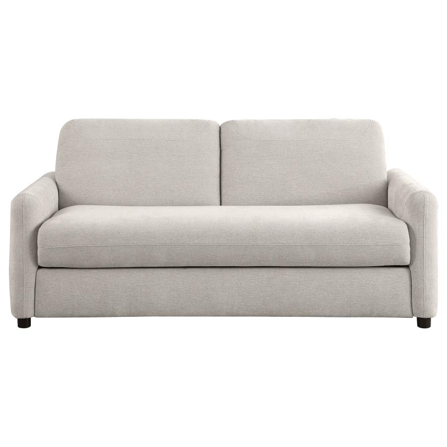 Rylie Upholstered Sofa Sleeper with Queen Mattress Beige view 5