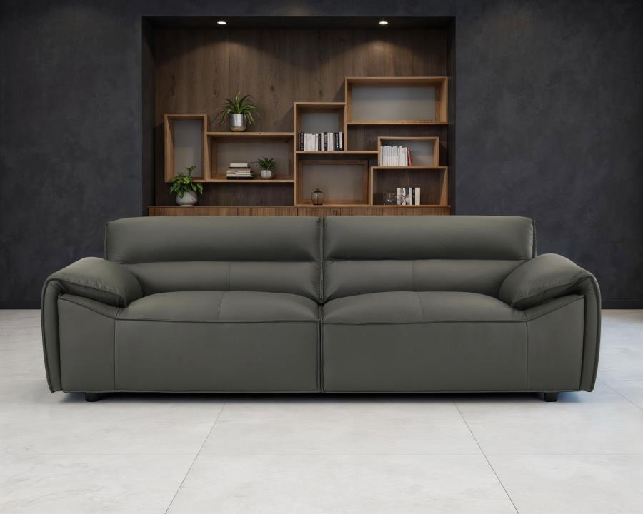 Buxton Top Grain Leather Upholstered Sofa Graphite view 2