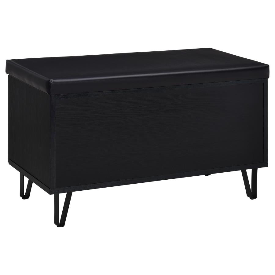 Brixton 2-door Padded Entryway Shoe Storage Bench Black view 7