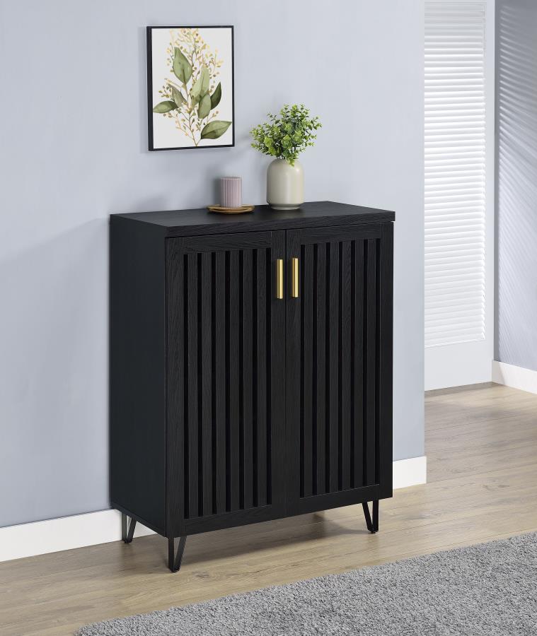 Brixton 2-door Entryway Shoe Storage Cabinets Black view 2