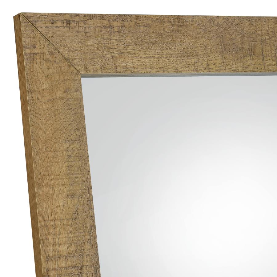 Cadence Tempered Glass Full Length Standing Mirror Mango view 5