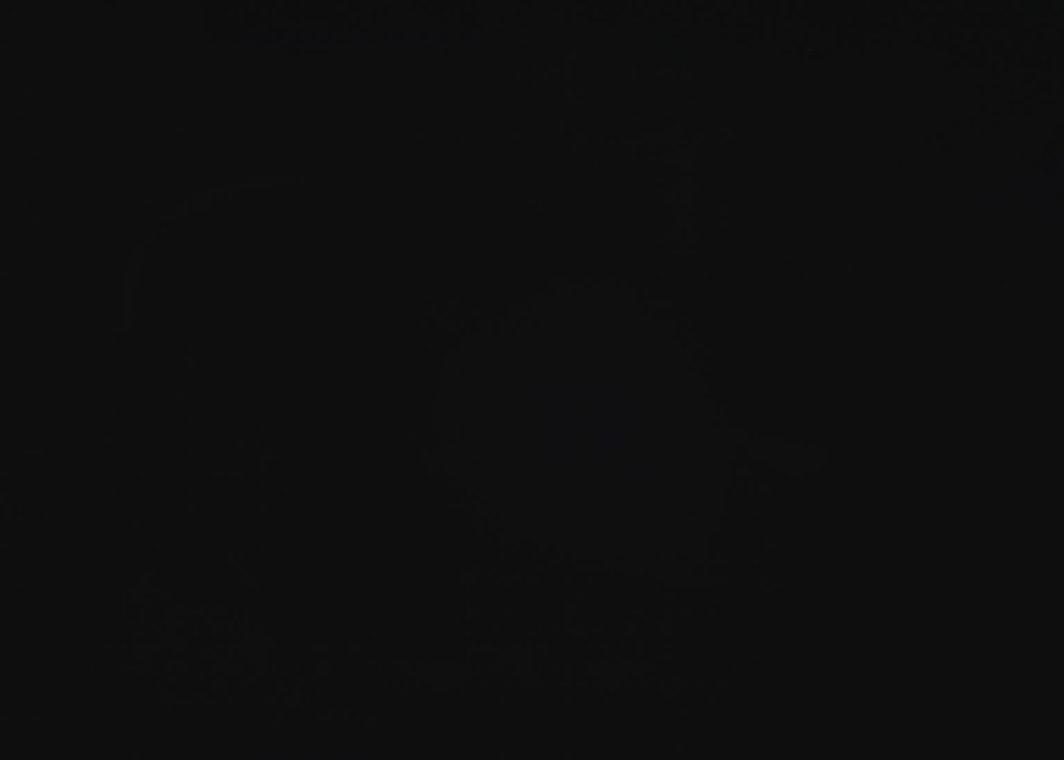 BLACK CHEST view 7